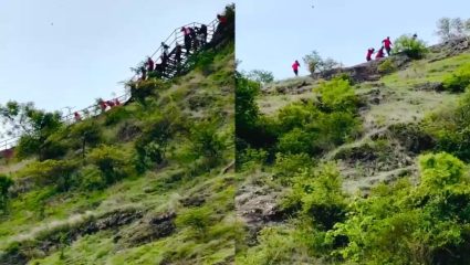 Karad News: अरे बापरे! वृक्षारोपण करायला गेले अन्‌ मधमाशांच्या तावडीत सापडले; ४० शाळकरी मुले रुग्णालयात!