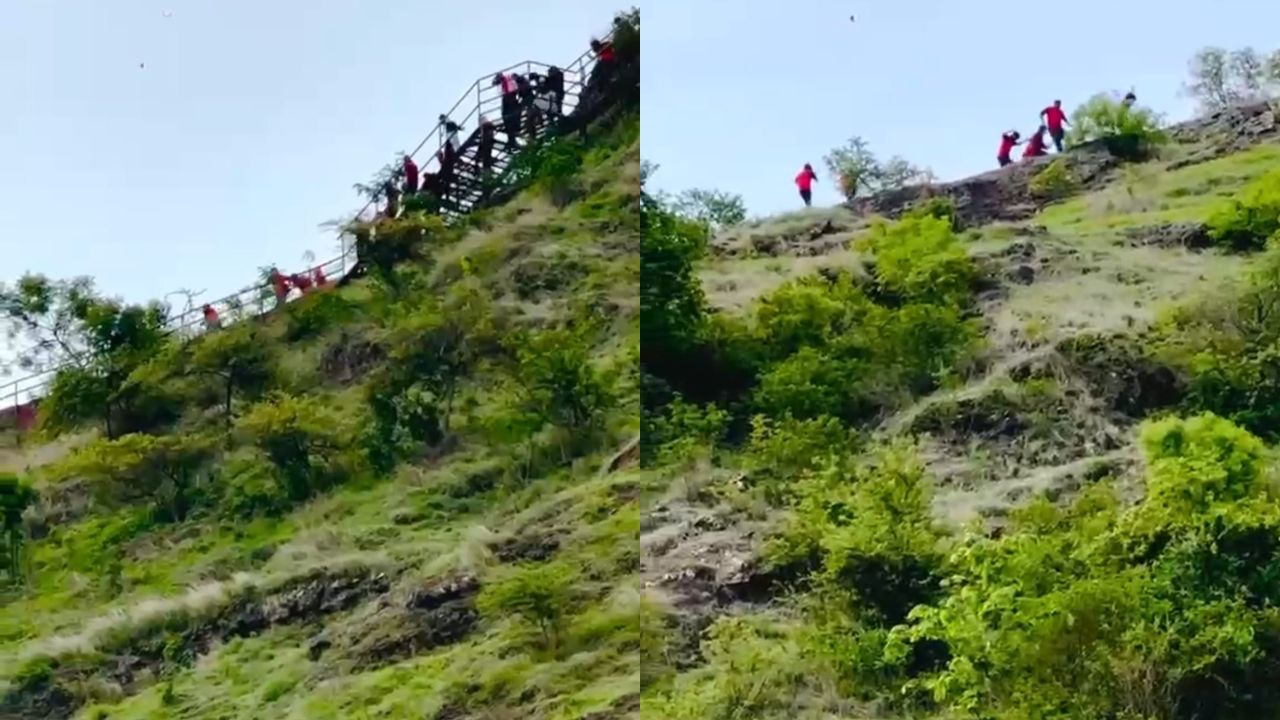 Karad News: अरे बापरे! वृक्षारोपण करायला गेले अन्‌ मधमाशांच्या तावडीत सापडले; ४० शाळकरी मुले रुग्णालयात!