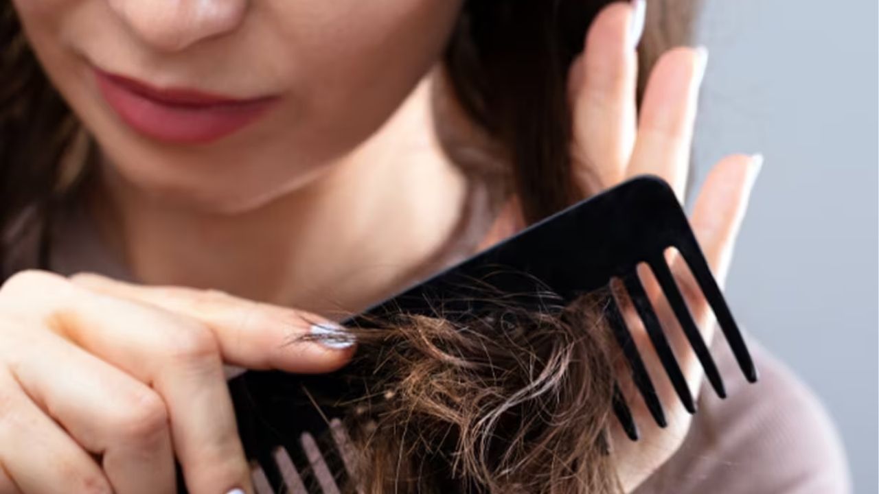 Rain Hair Damage : पावसाळ्यात केस गळतायत? हेअर Mask आणि हेअर Spaमध्ये कोणता पर्याय आहे बेस्ट?