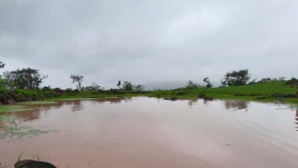 थोरल्या डोंगरावर श्रमदानाचा जागर! गावकऱ्यांनी मृत तळ्याला दिली नवसंजीवनी; भर उन्हाळ्यातील कष्टाला पावसाळ्यात आले यश