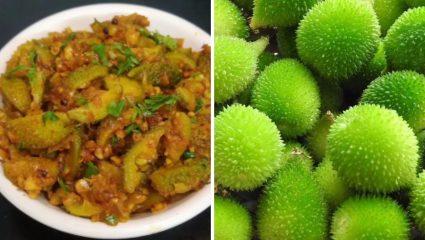 पावसाळ्यात आवर्जून खायला हवी करटोलीची रानभाजी, आयुर्वेदिक गुणधर्मांनी समृद्ध असलेली भाजी शरीरासाठी ठरेल गुणकारी