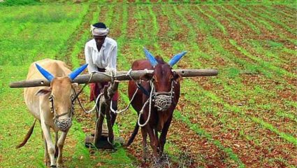 Farmer Loan Waiver : शेतकरी कर्जमाफीसाठी नवी तारीख जाहीर; कृषीमंत्र्यांनी सांगितले विलंबाचे कारण