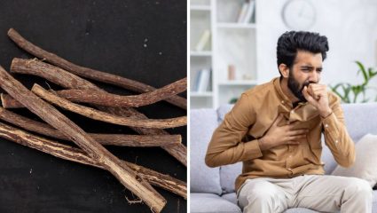 पावसाळ्यात घसा कायमच दुखतो? मग आयुर्वेदिक गुणधर्मांनी समृद्ध असलेल्या जेष्ठमधाचे ‘या’ पद्धतीने करा सेवन, आजारांपासून राहाल दूर