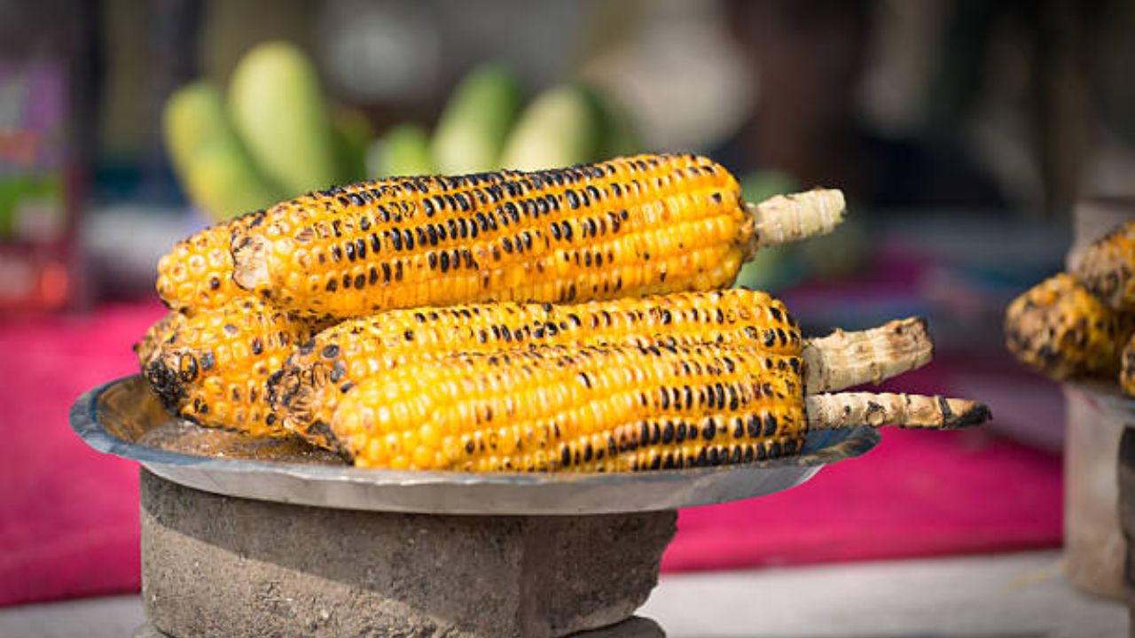 थंडगार पावसात भाजलेला मका खायची सगळ्यांचं खूप जास्त इच्छा होते. मका खाल्यामुळे शरीराला आवश्यक पोषक घटक सुद्धा मिळतात. त्यामुळे भाजलेला मका खावा.