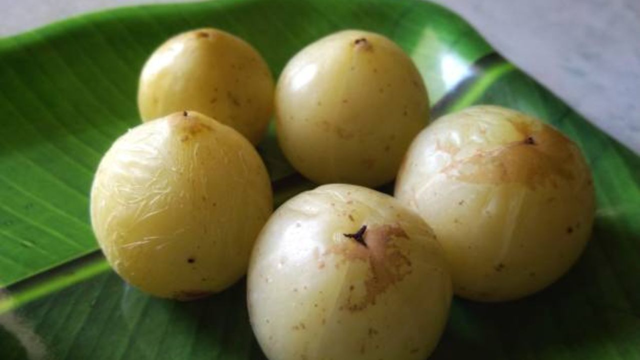 पेरूमध्ये विटामिन सी, अँटीऑक्सिडंट्स आणि फायबर इत्यादी अनेक घटक मोठ्या प्रमाणावर आढळून येतात. आठवड्यातून एकदा किंवा दोनदा पेरू खाल्ल्यास पचनक्रिया निरोगी राहण्यासोबतच त्वचेचे आरोग्य सुधारेल.