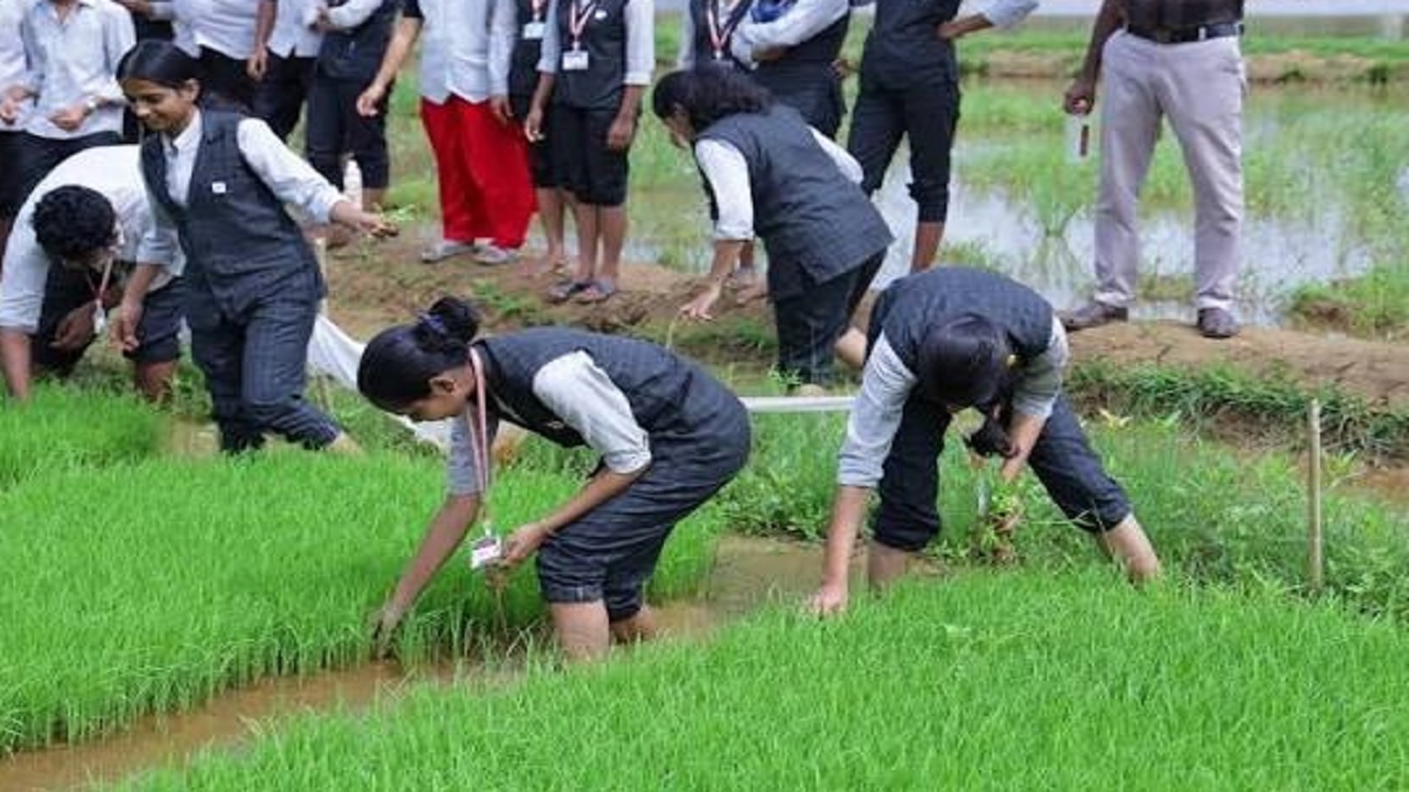 कृषी अभ्यासक्रमासाठी प्रवेश नोंदणीला सुरुवात; ‘या’ तारखेपर्यंत असणार मुदत
