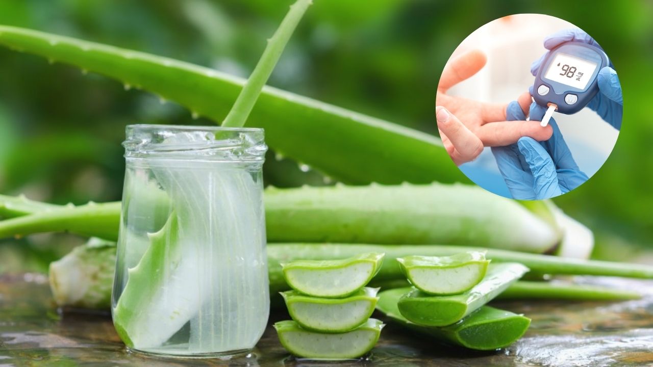 Diabetes: डायबिटीजच्या रुग्णांसाठी कोरफडीचा ज्यूस कसा ठरतो लाभदायक? जाणून घ्या आरोग्यदायी फायदे