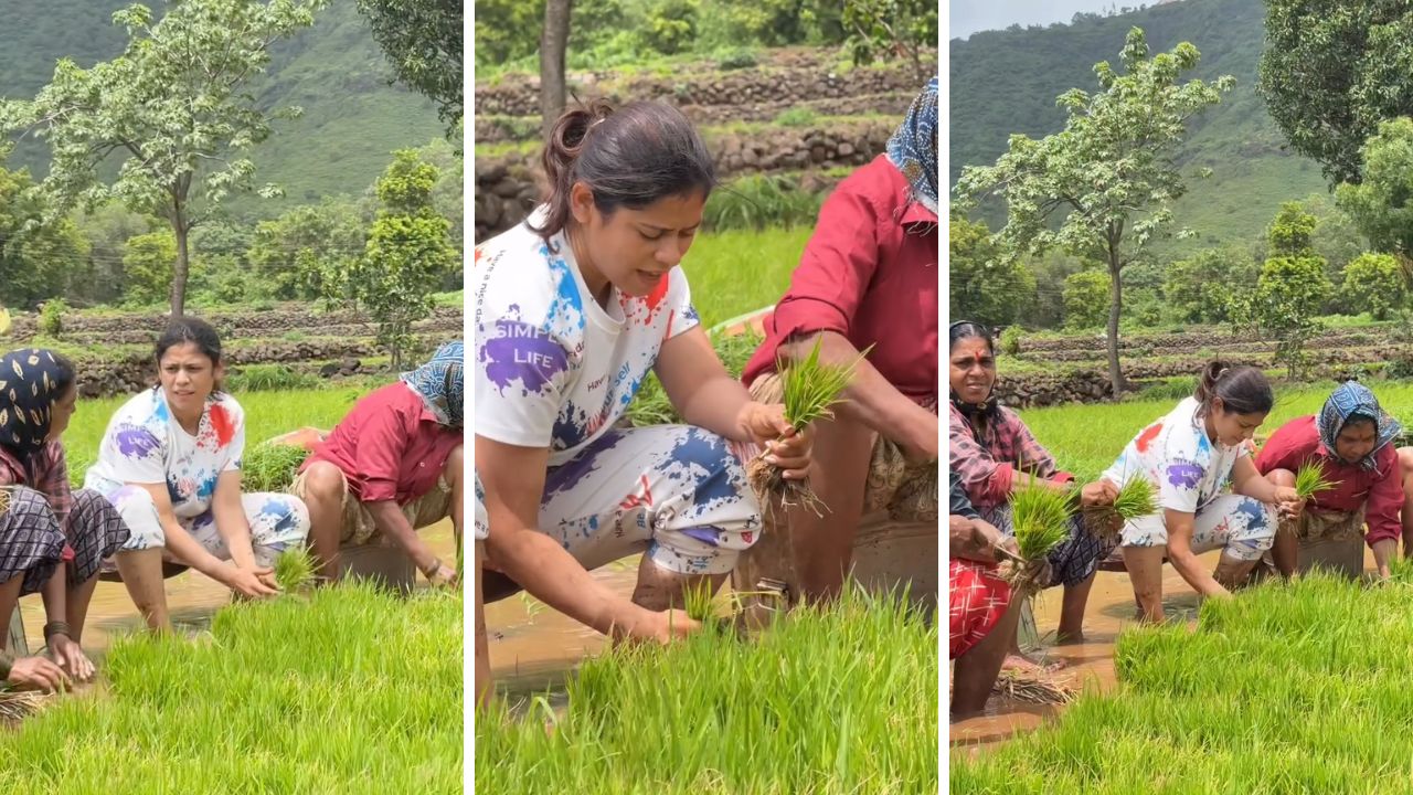 Ashwini Mahangade : ‘मैं जितने आया ही नहीं, मैं…’,अभिनेत्री अश्विनी महांगडेने थेट चिखलात उतरून केली भातलागवड; व्हिडीओ व्हायरल