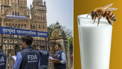 FDA On BMC Canteen: मुंबई महापालिका कँटीनवर FDAचा दणका; ताकात माशी सापडल्याने कँटीन सील करण्याचे निर्देश