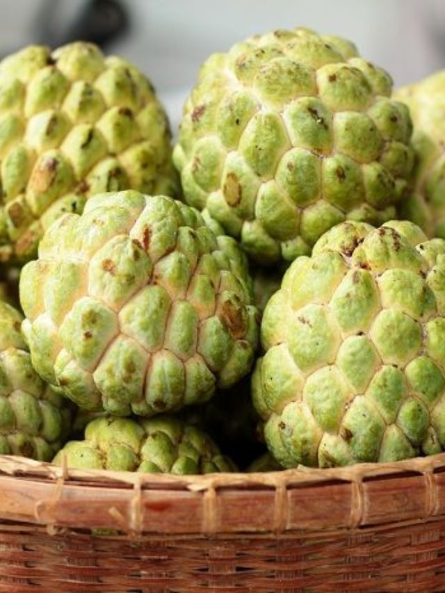 पावसाळ्यात सीताफळ खाण्याचे काय आहेत आरोग्यदायी फायदे