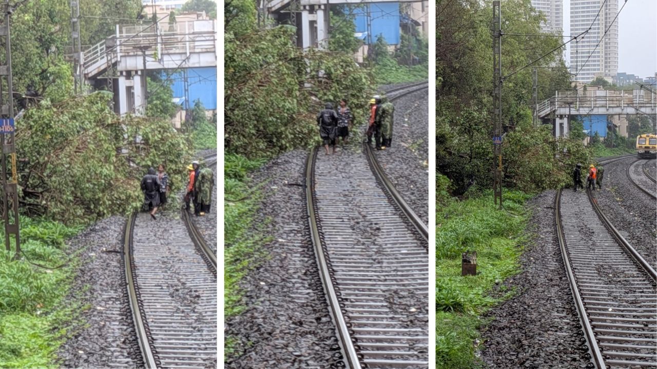 Mumbai Local : मुसळधार पावसाचा रेल्वेलाही फटका; जीटीबीजवळ झाड पडल्याने हार्बर मार्गावरील वाहतूक विस्कळीत