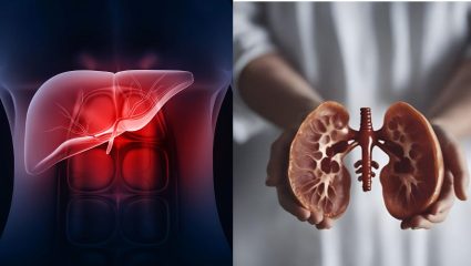 दररोजच्या ‘या’ सवयी किडनी आणि लिव्हरसाठी ठरू शकतात घातक; वेळेत बदला जीवनशैली