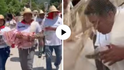 आता हनिमून पाण्यात करावं लागणार…! मगर बनली वधू आणि शहराचा महापाैर झाला वर, अनोख्या लग्नाने वेधले सर्वांचे लक्ष; Video Viral