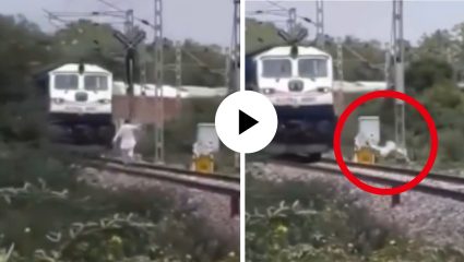 क्षणात होत्याचं नव्हतं झालं! ट्रेनच्या धडकेत हवेत उडाला अन्… दृष्ये पाहून यूजर्सच्या अंगावर आला काटा; थरारक Video Viral
