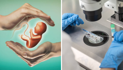 World IVF Day: गर्भधारणेचा विचार करत आहात? पुरुष आणि महिलांच्या प्रजनन क्षमतेवर जीवनशैलीचा कसा होतो परिणाम