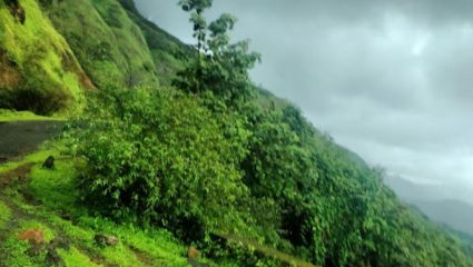 Monsoon Tourism : पर्यटकांसाठी महत्त्वाची बातमी! दरडीच्या धोक्यामुळे रघुवीर घाट १० ऑगस्टपर्यंत बंद; पर्यटकांना नो-एंट्री