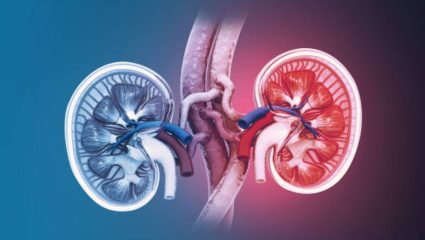 Health Alert: तुमची किडनी खराब झालीये? शरीरातील ‘या’  5 लक्षणांकडे अजिबात करू नका दुर्लक्ष