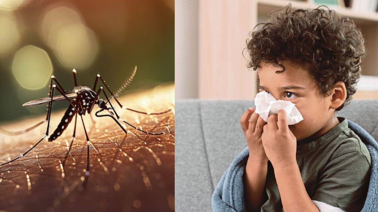 Malaria: पावसाळ्यात वाढतो मलेरियाचा धोका; लहान मुलांवर सर्वाधिक परिणाम, जाणून घ्या सुरुवातीची लक्षणे