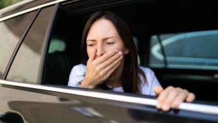 Motion Sickness: प्रवासात मळमळ आणि उलटीचा त्रास होतो? ‘हे’ घरगुती उपाय नक्की करा ट्राय