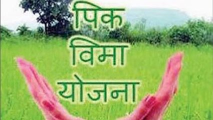 Buldhana News : २२ हजार हेक्टर क्षेत्राला विमा संरक्षण! ३३११३ शेतकऱ्यांचा सहभाग; २.६७ कोटींचा प्रीमियम जमा