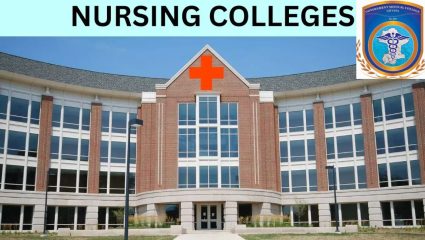 Gondia Nursing Colleges SOP: राज्यातील सर्व नर्सिंग कॉलेजेसमध्ये लागू होणार ‘SOP’; आरोग्यमंत्र्यांची घोषणा!