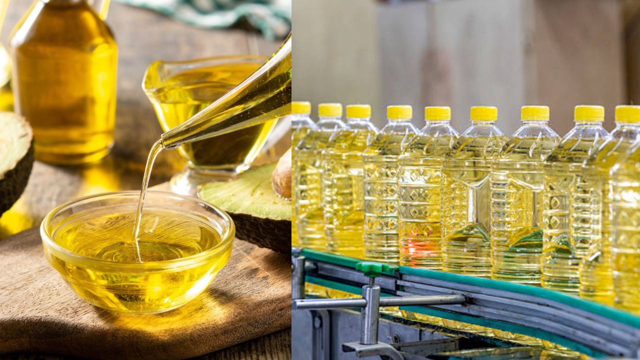 Refined Oil: रिफाइंड तेलात बनवलेले अन्न खरंच आरोग्यासाठी घातक? जाणून घ्या सत्य