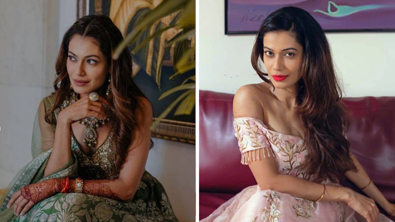 Payal Rohatgi Exclusive Interview: ‘चांगली अभिनेत्री व्हायचं असेल तर…’, बॉलिवूड अभिनेत्री पायल रोहतगीने दिला ‘हा’ खास मंत्र