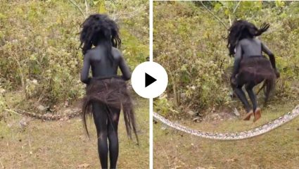 अरे बापरे! चिमुकली अजगरासोबत खेळू लागली रस्सीखेच, Viral Video पाहून यूजर्स अवाक्