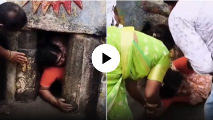 ‘मोक्ष मार्ग’ की मृत्यूचा सापळा? मृत्यूच्या घटनेनंतर आणखी एक महिला वाईटरित्या अडकली; तिरुवन्नामलाईतील Video Viral
