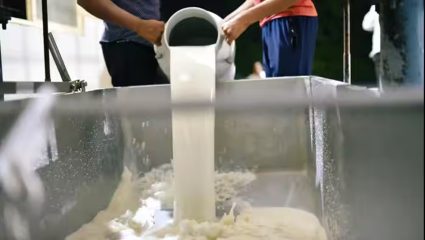 Pune FDA News : अरे बापरे! शॅम्पू, केमिकल मिसळून तयार होत होतं दूध; पुण्यात FDAची 2 कोटींच्या रॅकेटवर कारवाई