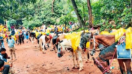 Raigad News: माथेरानमध्ये घोड्यांच्या विष्ठेवरून पर्यावरणाचा प्रश्न; हरित लवाद काय निर्णय देणार? 16 ऑगस्टला महत्त्वाची सुनावणी