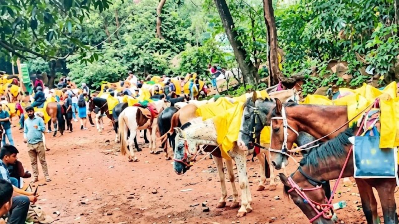 Raigad News: माथेरानमध्ये घोड्यांच्या विष्ठेवरून पर्यावरणाचा प्रश्न; हरित लवाद काय निर्णय देणार? 16 ऑगस्टला महत्त्वाची सुनावणी