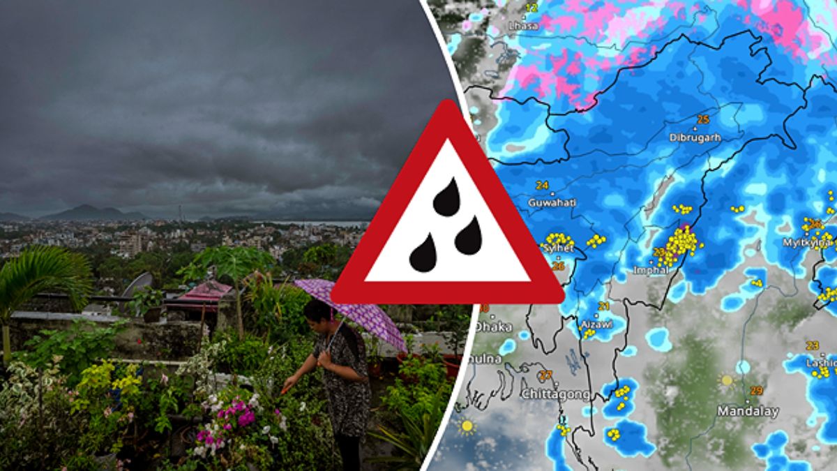 Rain Alert: या जिल्ह्यात अतिवृष्टीचा रेड अलर्ट; आज (२ जुलै) शाळांना सुट्टी जाहीर, तुमच्या भागातील शाळा बंद राहणार का? जाणून घ्या