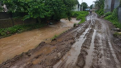 Chandrapur News: चिखलमय रस्त्यांमुळे विद्यार्थ्यांचा जीवघेणा प्रवास; दमपूर-मोहद्यात ग्रामस्थांचा संताप