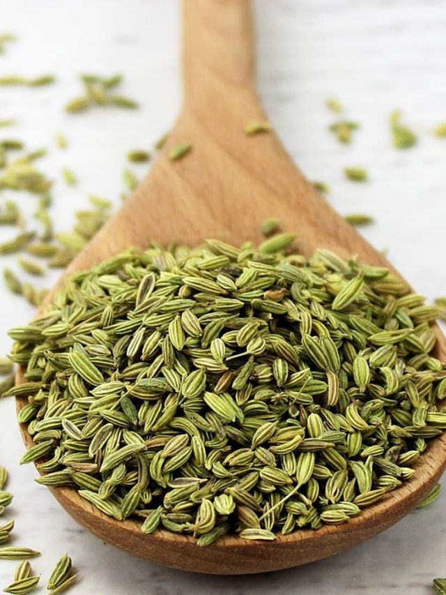 भाजलेली बडीशेप खाण्याचे काय आहेत आरोग्यदायी फायदे