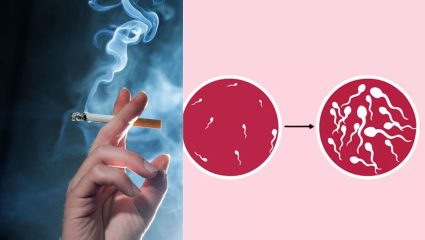 Male Fertility: फक्त सिगारेट-तंबाखूच नाही, ‘या’ कारणांमुळेही स्पर्म काउंट होऊ शकतो कमी