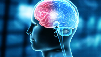 World Brain Day 2026: तणाव, स्क्रीनचा वाढता वापर आणि बैठी जीवनशैलीच्या युगात मेंदूच्या आरोग्याचे संरक्षण