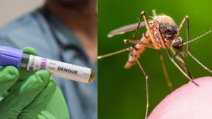 Dengue Vaccine: डेंग्यूविरुद्ध ‘ब्रह्मास्त्र’ तयार! भारतात पहिल्या लसीला मंजुरी; ४ ते ६० वयोगटातील नागरिकांना मिळणार कवच