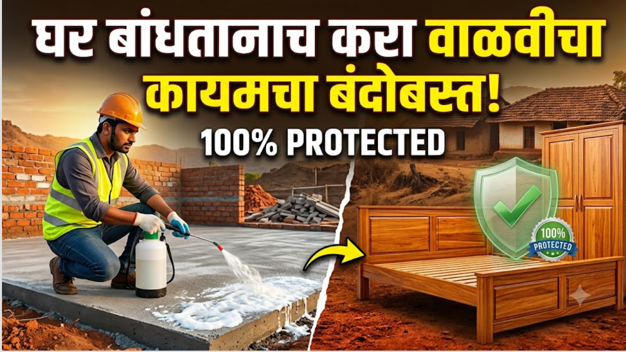घर बांधतानाच करा वाळवीचा कायमचा बंदोबस्त! बेड काँक्रीट आणि फर्निचरच्या सुरक्षेसाठी सोपे उपाय