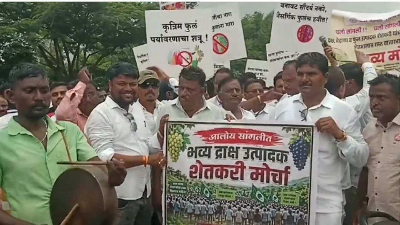 Sangli : बेदाण्यावरील आयात करासाठी, सांगलीत द्राक्ष बागायतदार संघाचा विराट मोर्चा