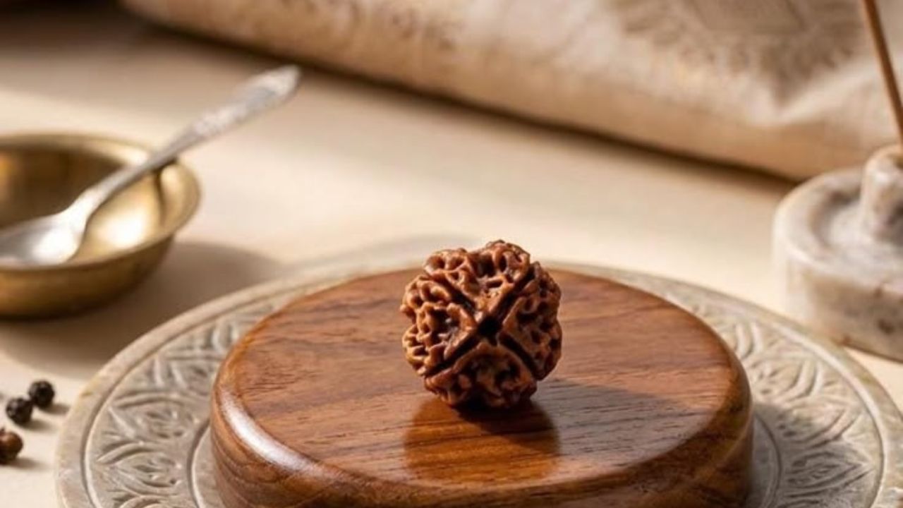 4 Mukhi Rudraksha: विद्यार्थ्यांपासून नोकरदारांपर्यंत सर्वांसाठी मानले जाते खास; जाणून घ्या चार मुखी रुद्राक्षाचे फायदे
