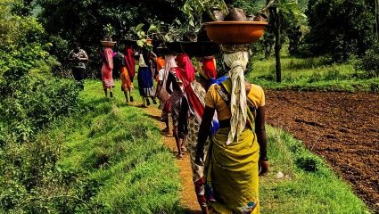 शेतीला पर्यटनाची जोड; पर्यटन विभागाद्वारे कृषी पर्यटन धोरणाचा लाभ घेण्याचे आवाहन