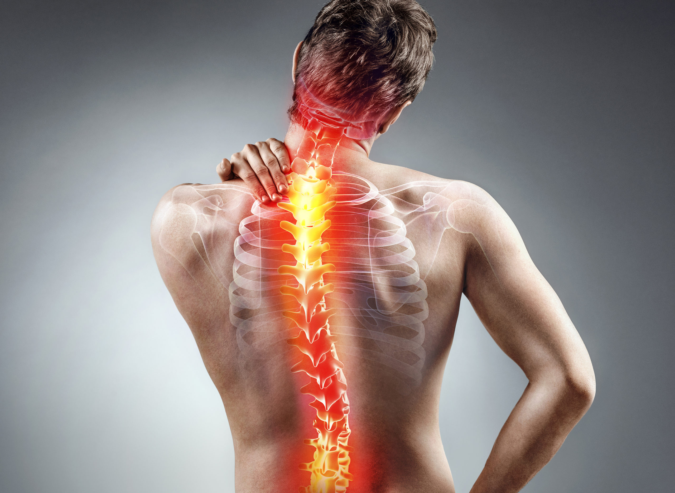 Obesity and Back Pain: मणक्यांची काळजी घ्या! वाढत्या वजनामुळे स्पाईनवर होणाऱ्या परिणामांबद्दल तज्ज्ञांचा महत्त्वाचा सल्ला
