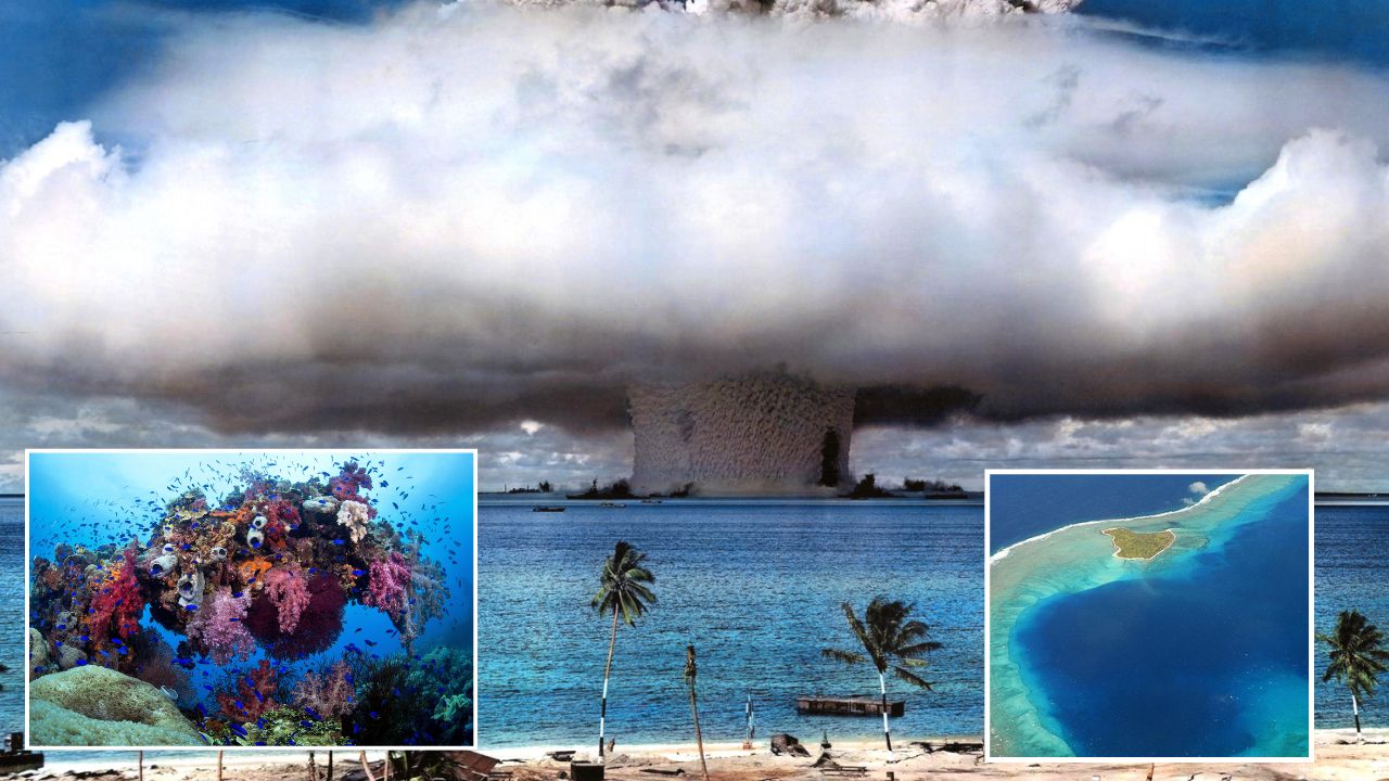 Bikini Atoll: जिथे अमेरिकेने टाकले 23 अणुबॉम्ब, तिथे 70 वर्षांनंतर उगवले निसर्गाचे वरदान; कॅन्सर करणार समूळ नष्ट?