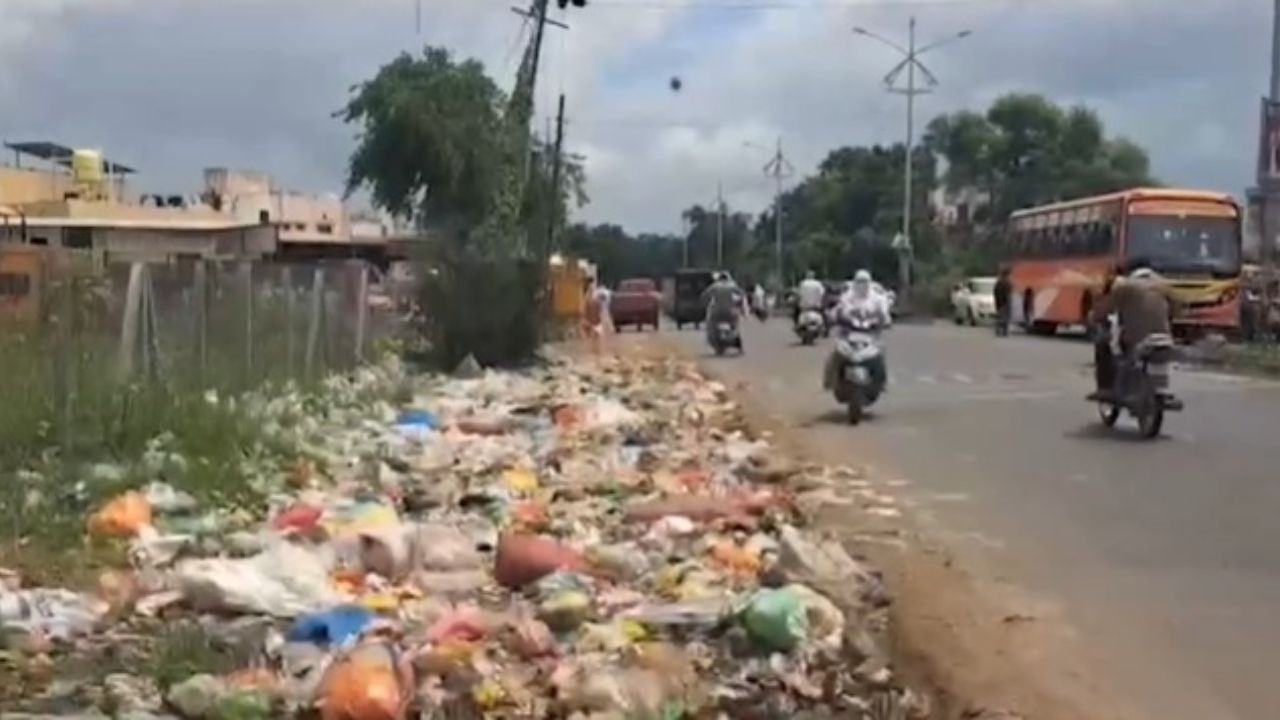 Buldhana News : बुलढाण्याच्या सौंदर्याला कचऱ्याचा डाग; नागरिक दुषित वातावरणामुळे त्रस्त!