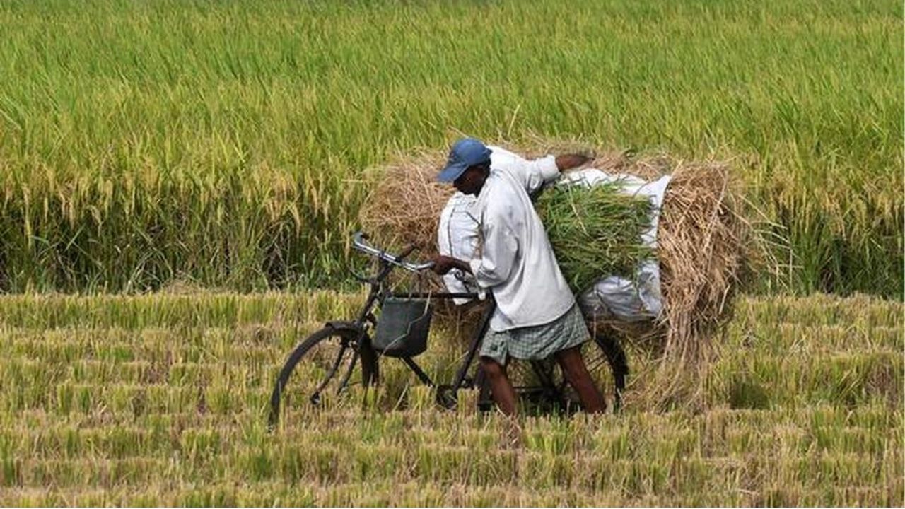 From Worker to Contractor: मजुरापासून कंत्राटदारापर्यंत; सुनील अडे यांच्या मेहनतीची यशोगाथा