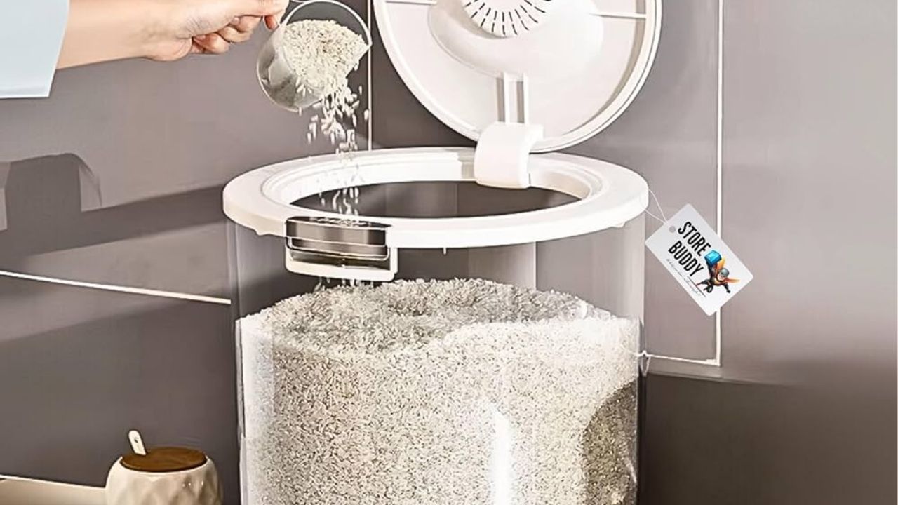 Rice Storage Tips: तांदूळ हवाबंद डब्यात ठेवूनही किडे पडतात? ‘हे’ कारण जाणून घ्या!