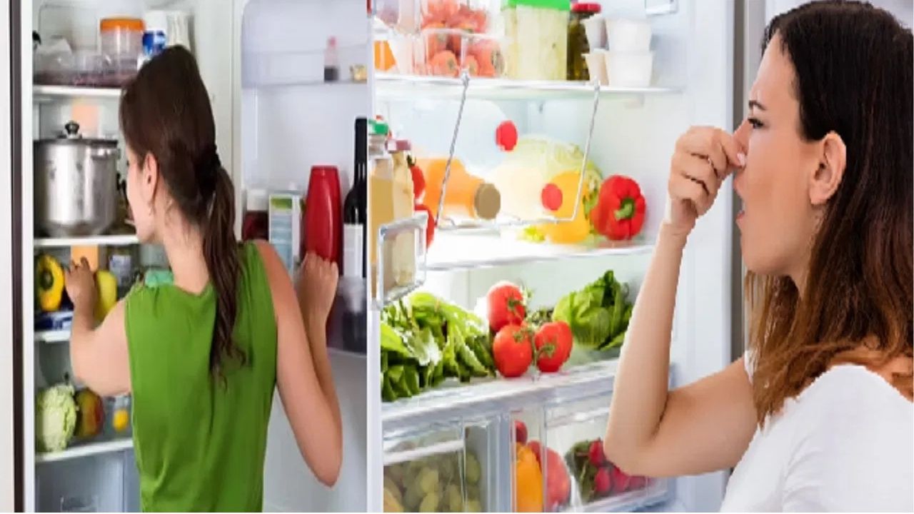 Kitchen Tips : गरम जेवण थेट फ्रिजमध्ये ठेवलं तर काय होतं? ‘या’ गैरसमजामागचं सत्य जाणून घ्या