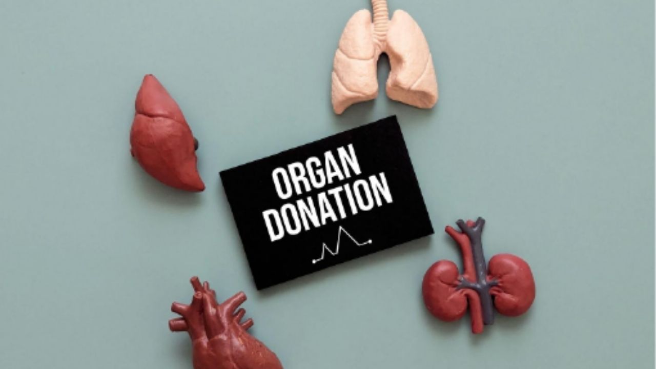 Organ Donation After Death at Home: घरी मृत्यू झाल्यानंतरही अवयवदान शक्य? कोणते अवयव दान करता येतात, जाणून घ्या
