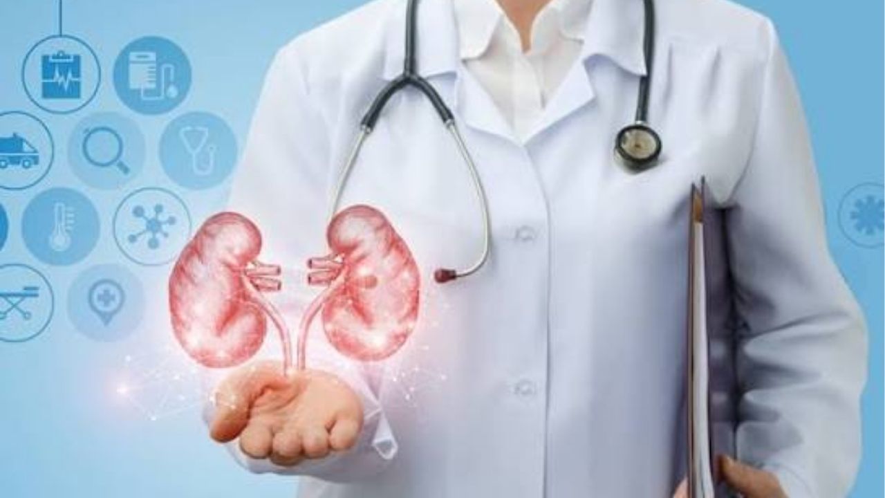 Infection Before Organ Transplant: इन्फेक्शन झालंय? ऑर्गन ट्रान्सप्लांट थांबू शकतो का? जाणून घ्या डॉक्टरांचं मत
